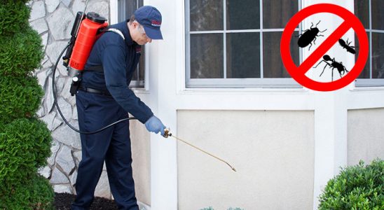 Suluova Fare İlaçlama böcek ilaçlama ve haşere kontrolü — ilaclama-tr.com